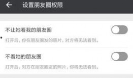 微信那点事在线观看,在线观看背后的精彩瞬间