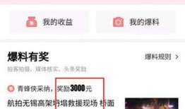 焦作今日头条爆料,揭秘神秘事件背后的真相