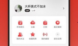 娱乐吃瓜酱网易云下载