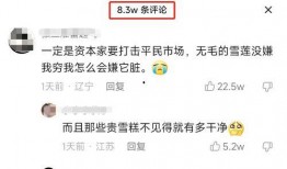 雪莲爆料视频大全集最新,揭秘娱乐圈不为人知的秘密