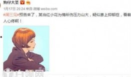 小花加油爆料视频在线观看,独家揭秘幕后故事