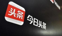 今日头条爆料简介怎么写