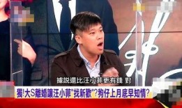 到底谁爆料汪小菲了视频,汪小菲事件爆料者身份大揭秘