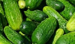 黄料吃瓜线上观看免费视频,线上免费视频盛宴