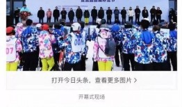 新浪 湖北 新闻 爆料,重大新闻事件引发社会关注”