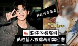 刘大锤爆料男歌手视频,揭秘男歌手神秘视频背后的故事