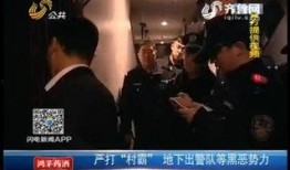 大佬爆料视频大全,视频大全背后的惊人真相