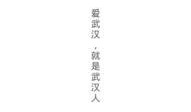 武汉头条新闻爆料,重大事件引发社会关注