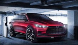 比亚迪高管爆料最新信息,揭秘新能源汽车产业未来趋势与技术创新