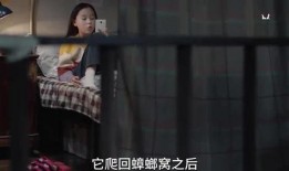 小魏小朋友爆料视频大全,童言无忌，趣味横生