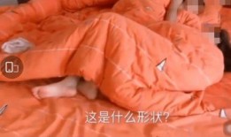 女业主爆料自家袜子视频,揭秘家居隐私与邻里关系