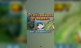 瓜妹小天使爆料视频大全,视频大全精彩瞬间大揭秘