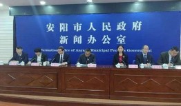 河南安阳新闻爆料,重大发现揭示殷墟历史新篇章