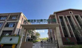 武汉汉南区爆料案件最新,真相渐明，疑云散去