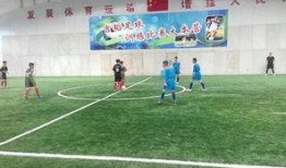 今日足球队爆料新闻最新,今日足球队独家爆料，揭秘转会内幕与赛场幕后故事