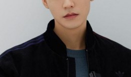 爆料娱乐圈龚俊是谁,龚俊是谁？揭秘这位神秘明星的背景与魅力