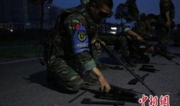 警恶魔在线观看,在线观看，揭秘犯罪背后的黑暗势力