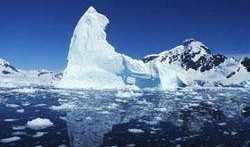 南极最新爆料视频大全集