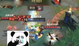 山东猴哥爆料视频播放,揭秘幕后真相，带你领略网络红人魅力