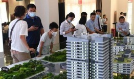 高聘高贷最新爆料,揭秘行业潜规则与风险