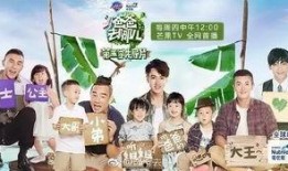 爸爸去哪儿五在线观看,温馨亲子时光，在线重温感动瞬间