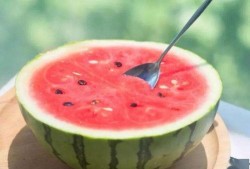 在线吃瓜免费观看,畅享娱乐盛宴