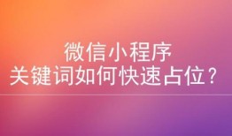小程序今日独家爆料下载,揭秘小程序最新爆料，不容错过的下载攻略！