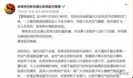 洛阳家长爆料视频,揭秘校园安全问题引发社会关注