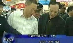 河南安阳新闻爆料,重大发现揭示殷墟历史新篇章