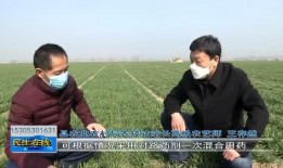 曹县网友爆料新闻事件,惊曝某重大新闻事件！