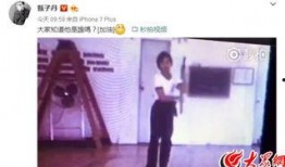 爆料功夫视频在线观看高清