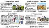 银行业最新爆料河北,揭秘金融创新与风险防控新趋势