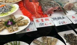 福州美食爆料事件视频大全,视频大全带你探秘地道风味