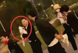 向佐爆料二胎男孩视频播放,温馨视频曝光萌娃可爱瞬间