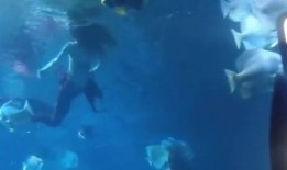 美人鱼7月爆料视频