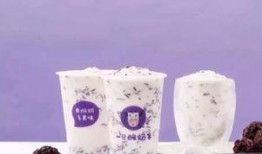 石家庄酸奶爆料案件最新,揭开食品安全背后的真相与挑战