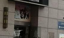 网友爆料宠物店视频,视频揭露残酷真相