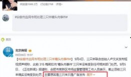 小杨哥带货主播爆料视频,爆款产品背后的秘密
