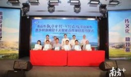 广州清远新闻爆料视频,揭秘背后惊人真相