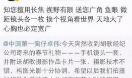 爆料娱乐圈的叫什么伟,揭秘“伟”字辈明星背后的故事