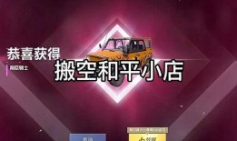 和平小店名单爆料最新版,揭秘神秘名单背后的故事