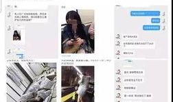 好剧来啦营销号爆料视频,热门剧集幕后故事大揭秘！