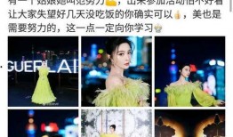 大蓉要努力最新爆料,揭秘努力背后的故事与挑战