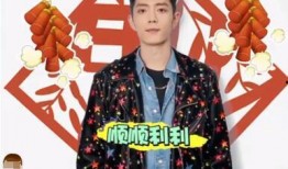 肖战妈妈爆料视频大全集,揭秘明星家庭背后的温馨故事