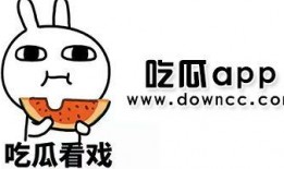 网红吃黑瓜aPP,带你探索美食新天地