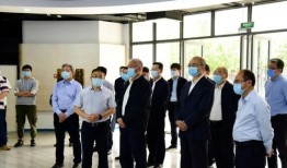 娱乐吃瓜长视频电子榨菜,娱乐吃瓜长视频的潮流解析