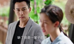 电视剧娱乐吃瓜全集播放,揭秘电视剧幕后风云
