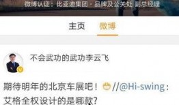 比亚迪高管爆料最新信息,揭秘新能源汽车产业未来趋势与技术创新