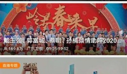 罗定市今日关注爆料新闻,聚焦民生热点，揭秘背后真相