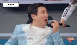 沈腾爆料娱乐圈的情侣,揭秘明星背后的甜蜜与争议